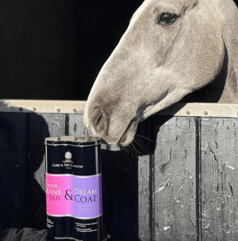 Grooming Duo 