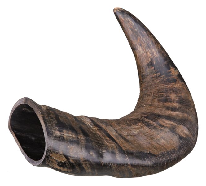 Huvudbild Tugghorn Buffel M
