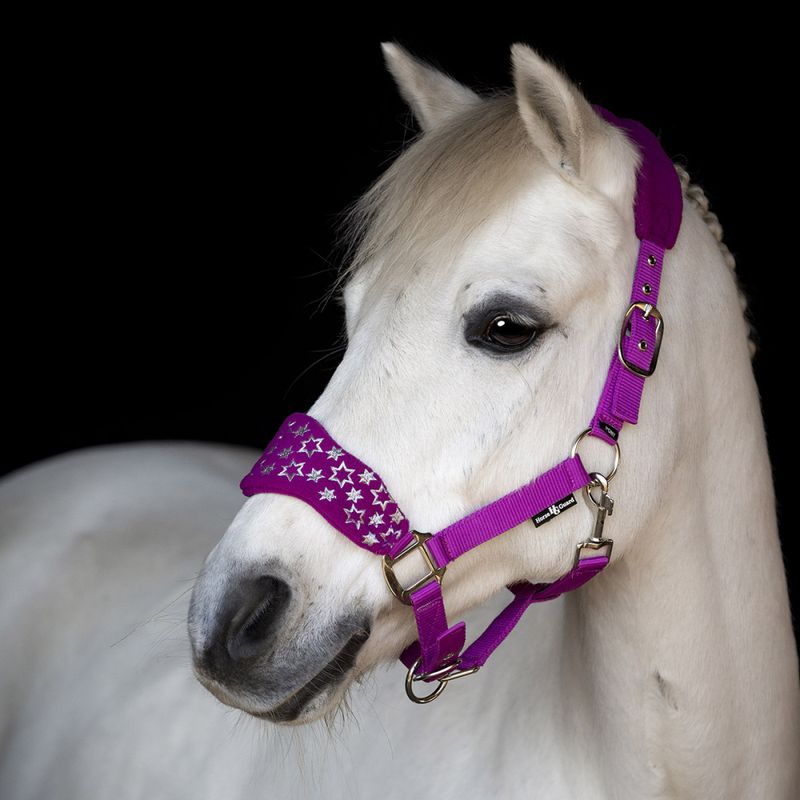 Grimma Antlantic Radiant Orchid 
