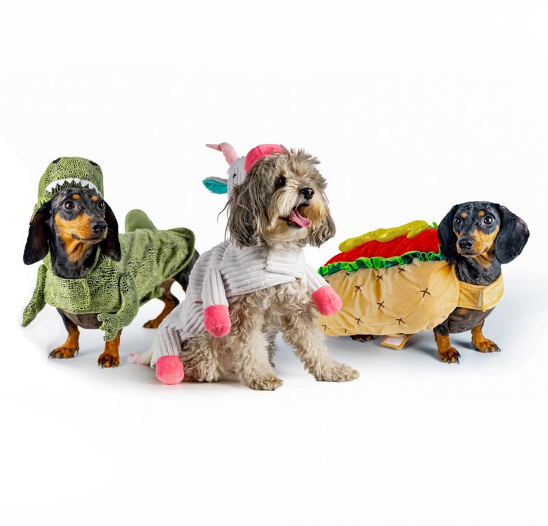 Maskeradkostym för hund, Unicorn